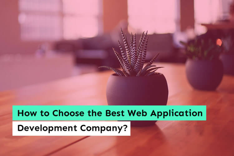 How to Choose the Best Web Application Development Company?