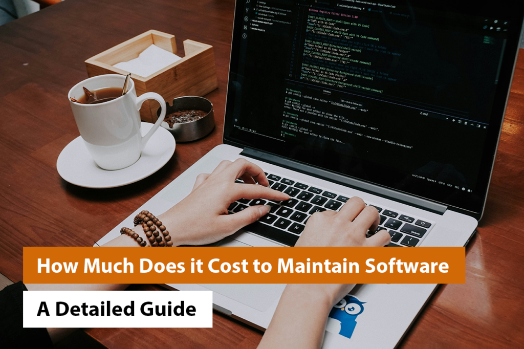 How Much Does it Cost to Maintain Software? – A Detailed Guide